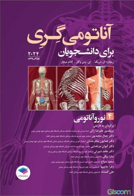 نوروآناتومی