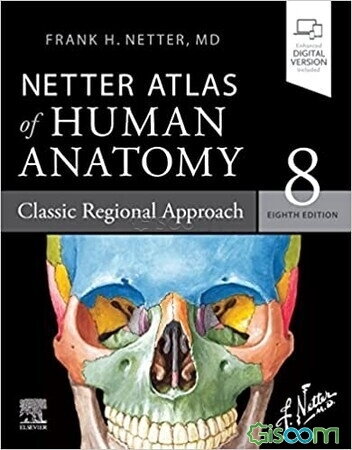 Netter atlas of human anatomy: classic regional approach