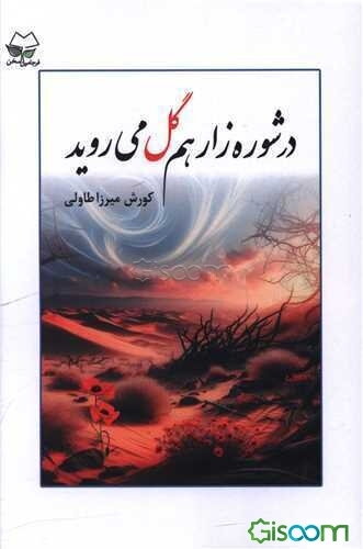 در شوره‌زار هم گل می‌روید