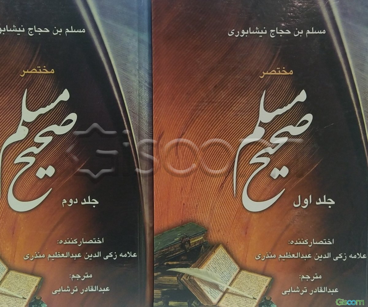 مختصر صحیح مسلم (2جلدی)