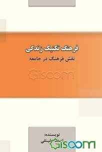 فرهنگ تکنیک زندگی (نقش فرهنگ در جامعه)