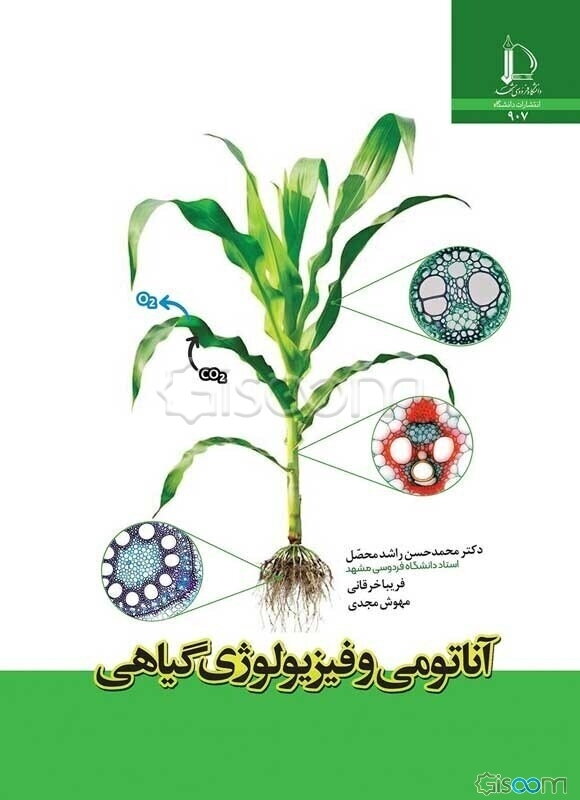 آناتومی و فیزیولوژی گیاهی