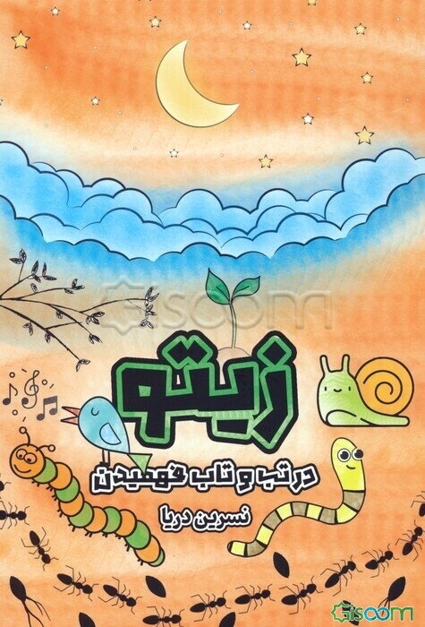 زیتو: در تب و تاب فهمیدن