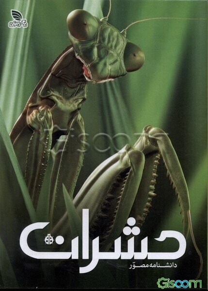 دانشنامه مصور حشرات