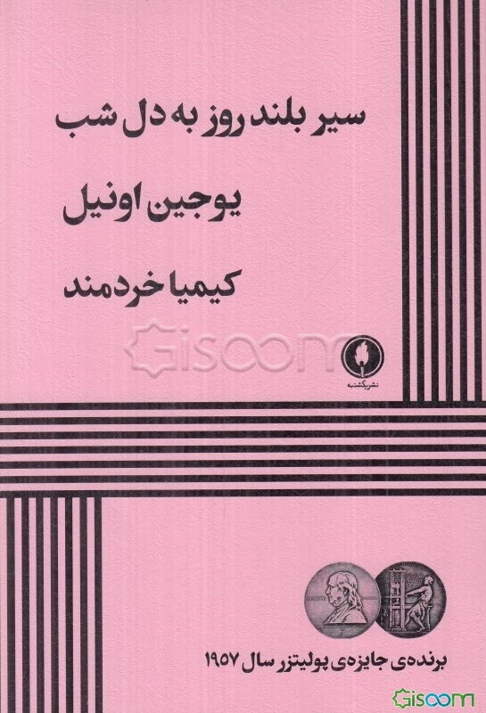 سیر بلند روز به دل شب