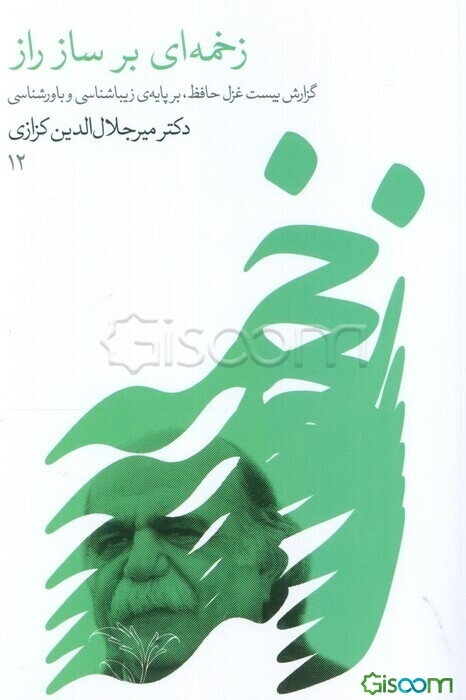 زخمه‌ای بر ساز راز