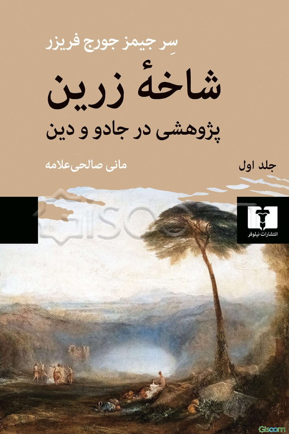 شاخه زرین: پژوهشی در جادو و دین، جادوگری و تحول و تکامل پادشاهان( جلد 1)