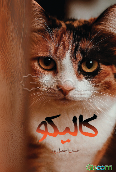 کالیکو