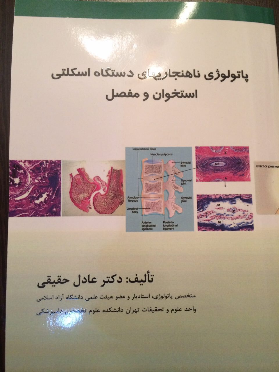 پاتولوژی ناهنجاری‌های دستگاه اسکلتی استخوان و مفاصل