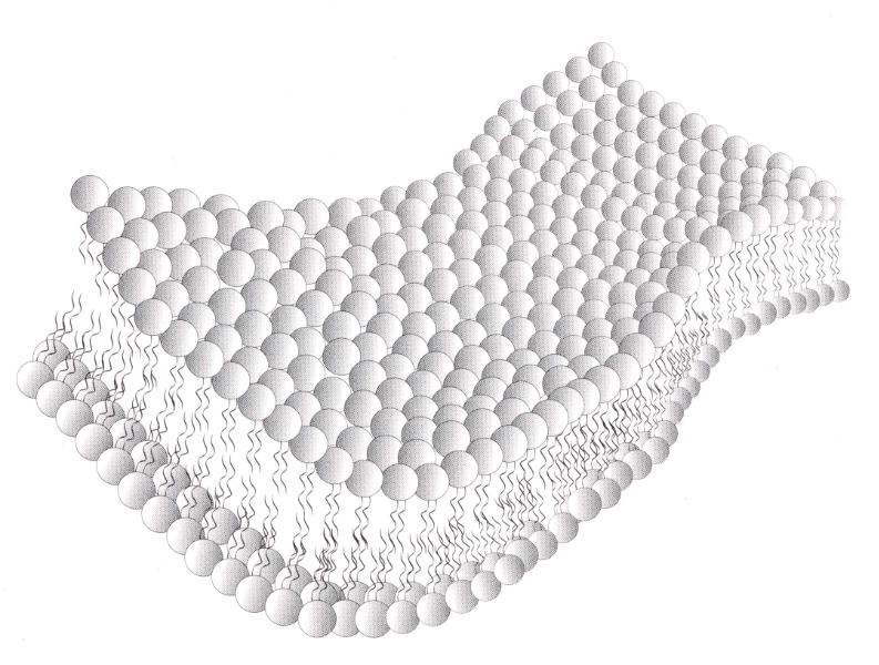 مراقبت و زیبایی پوست