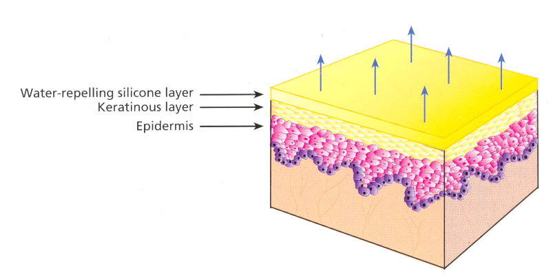 مراقبت و زیبایی پوست