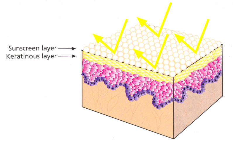 مراقبت و زیبایی پوست