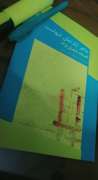 شاعر آپارتمان تنهاست: مجموعه شعر