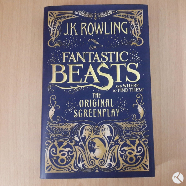 Fantastic beasts and where to find them the original screenplay