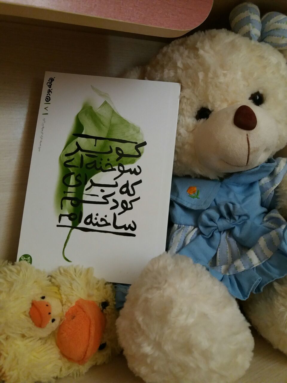 کویر سوخته‌ای که برای کودک ساخته‌ام(بهانه بودن - جلد 8)