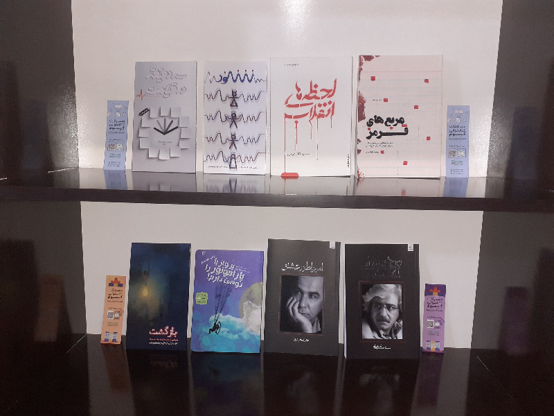 پرواز با پاراموتور را دوست دارم