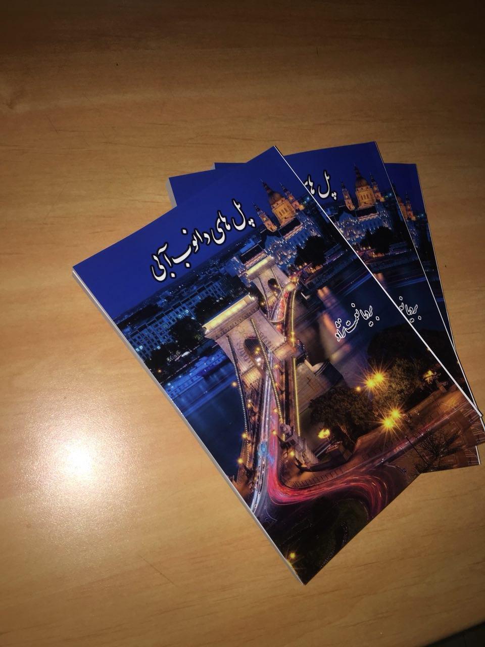 پل‌های دانوب آبی