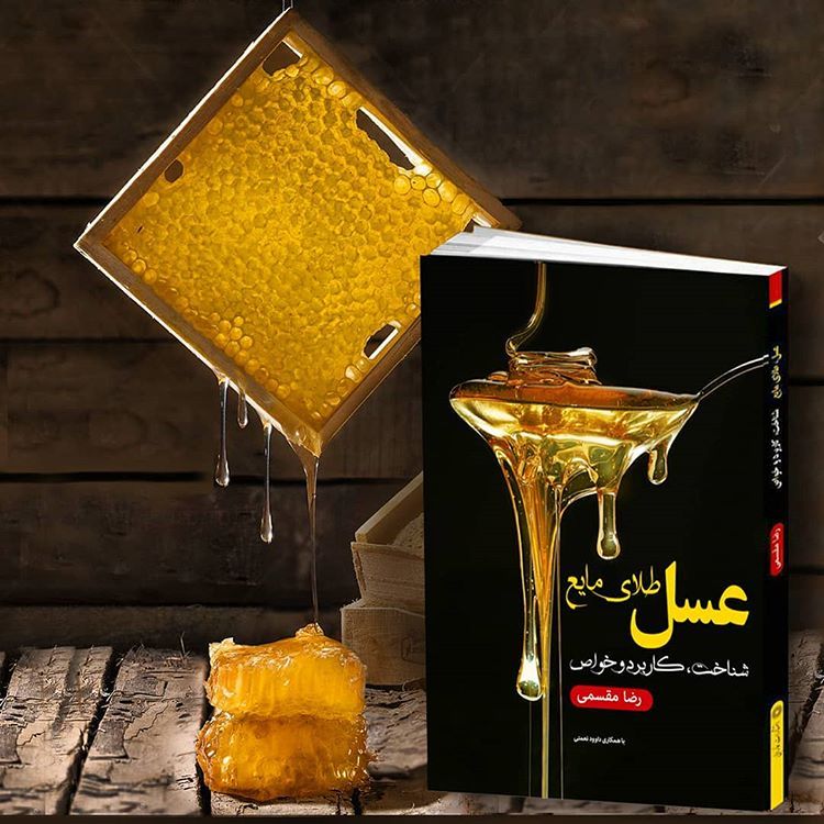 عسل طلای مایع (شناخت، کاربرد و خواص)