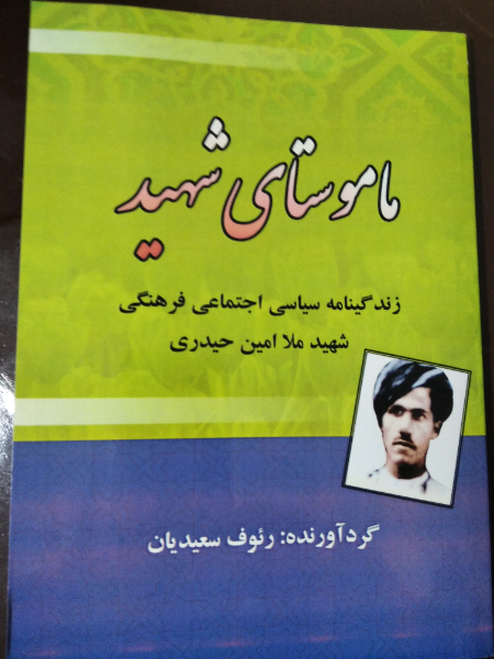 ماموستای شهید: زندگینامه سیاسی اجتماعی فرهنگی شهید ملاامین حیدری