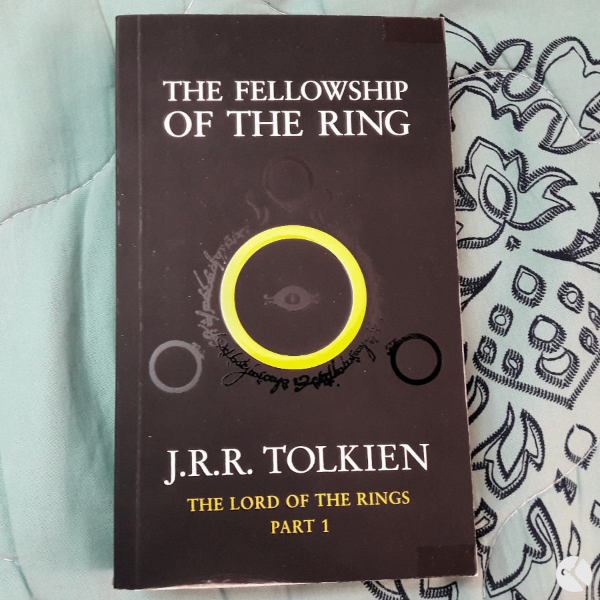 The fellowship of the ring