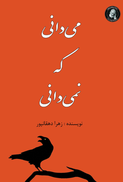 می‌دانی که نمی‌دانی