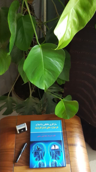 سازگاری عاطفی با اصلاح طرحواره‌های ناسازگار اولیه