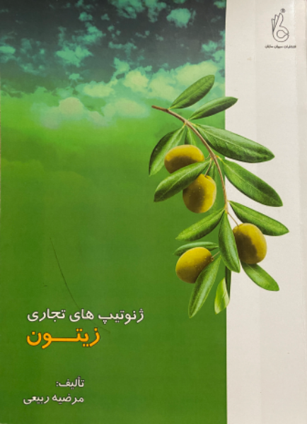 ژنوتیپ‌های تجاری زیتون