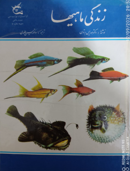 زندگی ماهیها