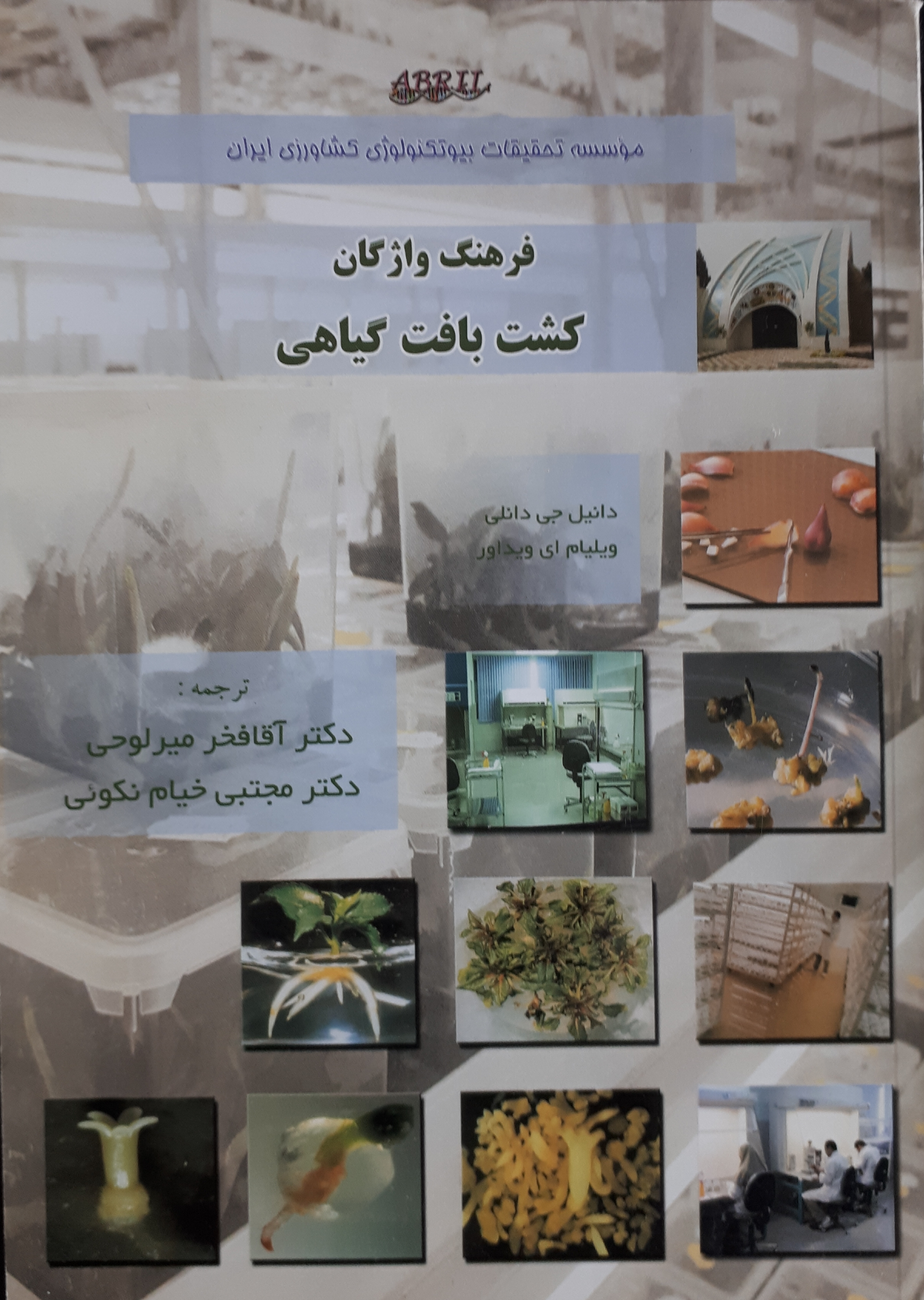 فرهنگ واژگان کشت بافت گیاهی