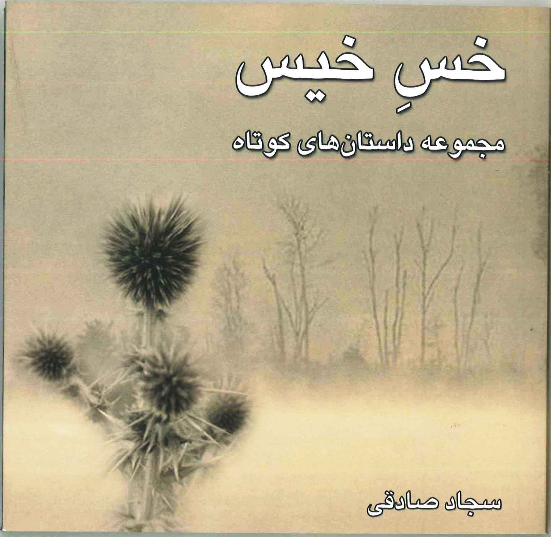 خس خیس (مجموعه داستان‌های کوتاه)