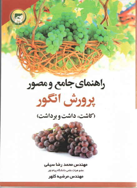 راهنمای جامع و مصور پرورش انگور (کاشت، داشت و برداشت)