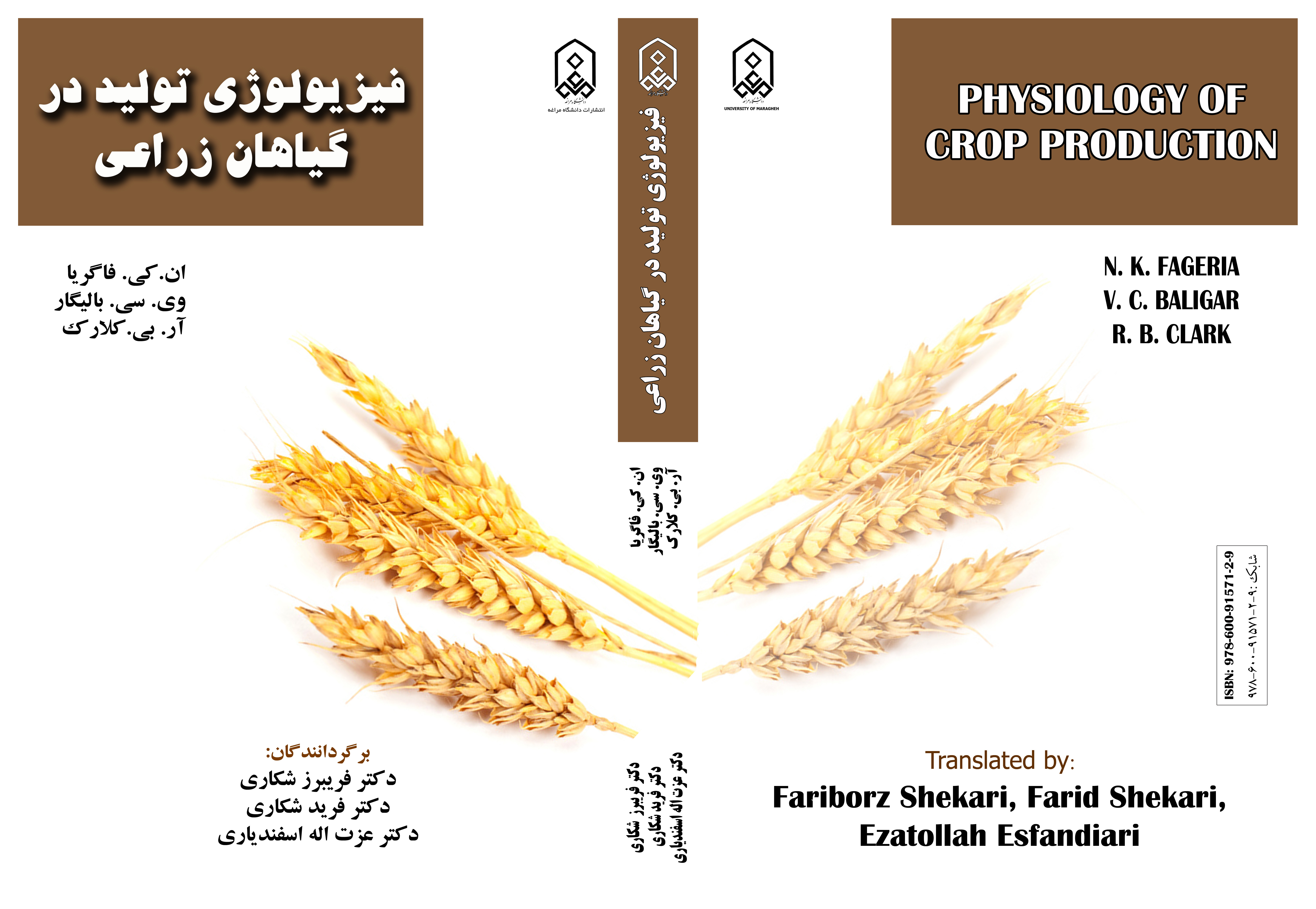 فیزیولوژی تولید در گیاهان زراعی