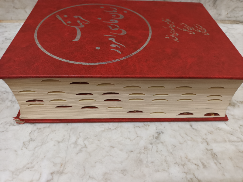 فرهنگ زبان فارسی امروز