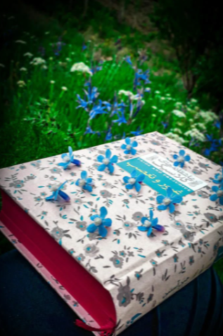 غرور و تعصب