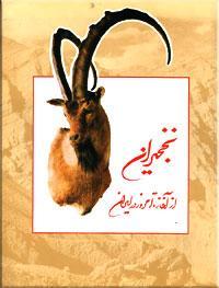 نخجیران (از آغاز تا امروز در ایران)