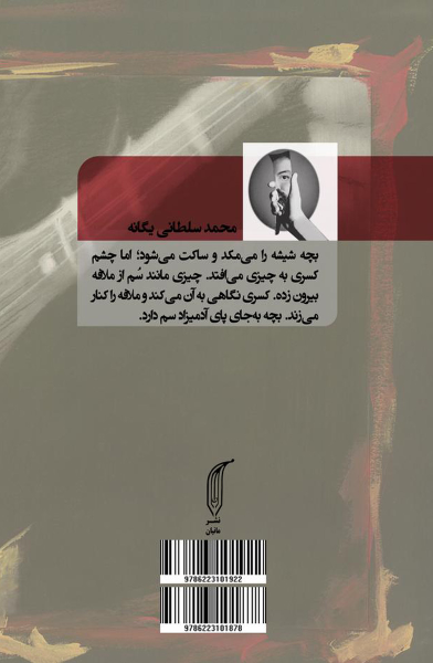 بازگشت: سریال خانگی - فیلم سینمایی، قسمت دوم: ناری