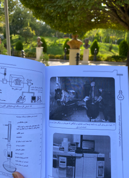 روغن‌های مصرفی در بازار همگی خوراکی هستند؟: نگاهی به روغن‌های مفید و مضر برای عموم بشر