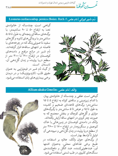 تهران؛ شکوه قله‌ها