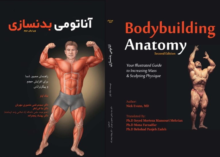 آناتومی بدنسازی