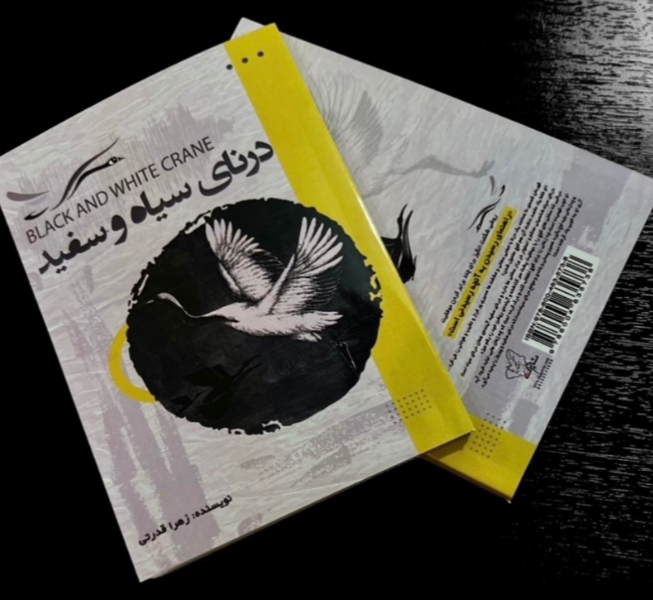 درنای سیاه و سفید