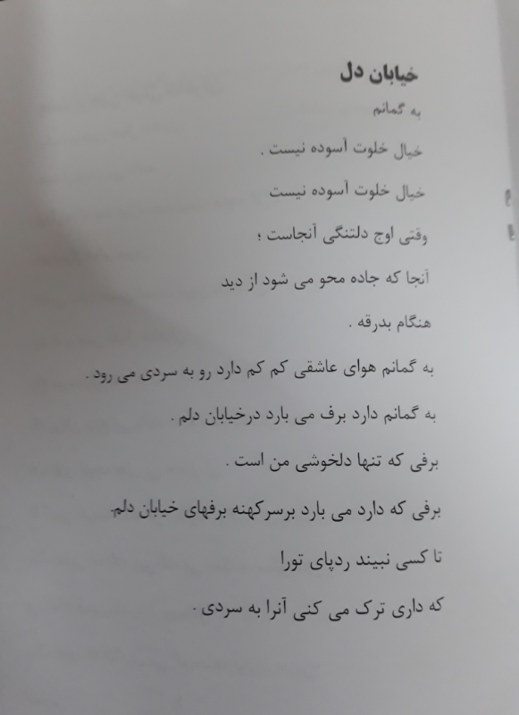 پشت پرچین خیال شاعران