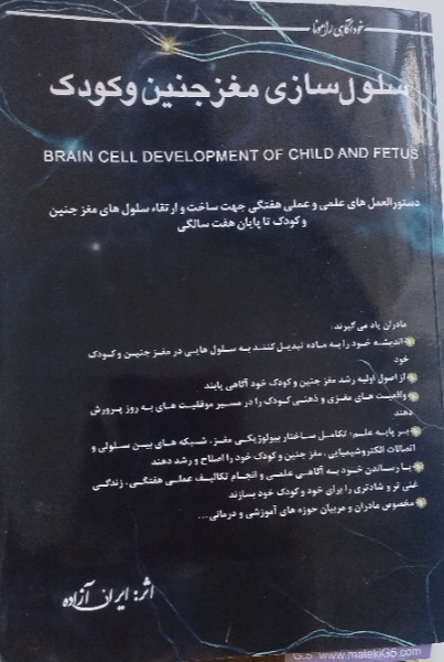 خودآگاهی رامونا: سلول‌سازی مغز جنین و کودک