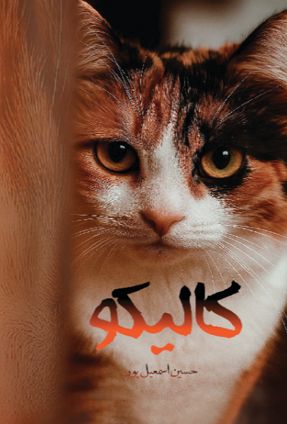 کالیکو