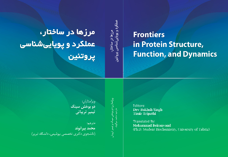 مرزها در ساختار، عملکرد و پویایی‌شناسی پروتئین‌